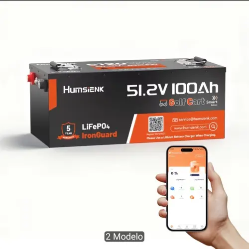 Bateria de litio LifePO4 51.2V 100Ah — imagen 2