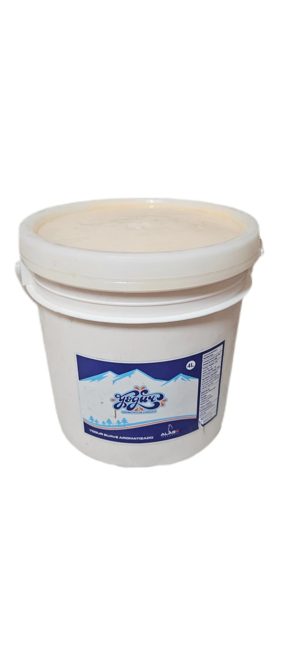 Cubeta de yogurt ALASKA  de 4L (natural)'s foto | EnviosCuba |  BizneCubano