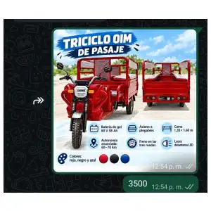 Trisiclo Oim de pasajes miniatura 2