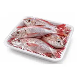 Paquete de pescado limpio al plato (Pargo)2-2.3kg miniatura 1